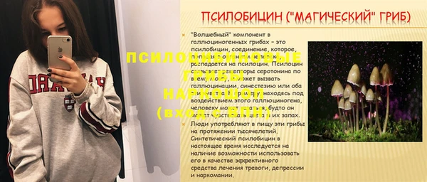 герыч Алексин