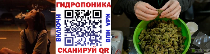 Бошки Шишки конопля Порхов